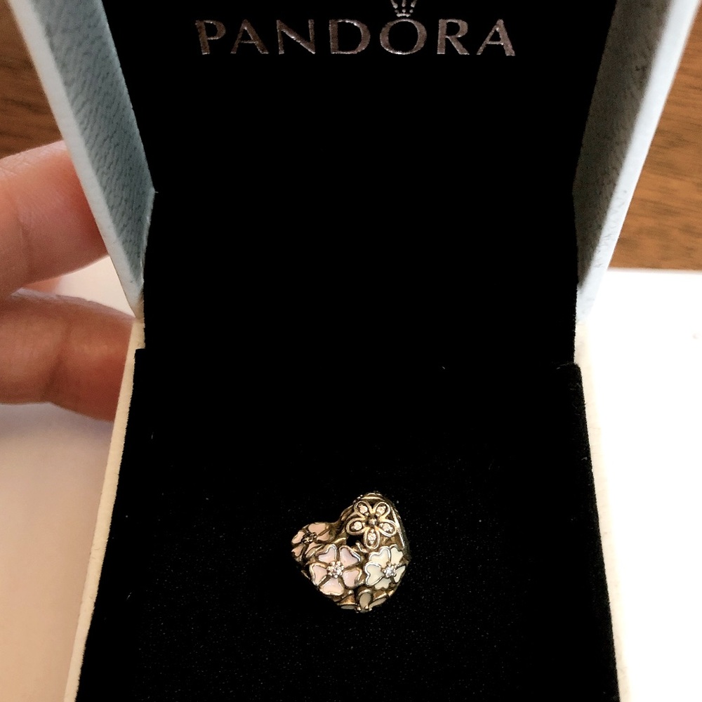 Pandora charm